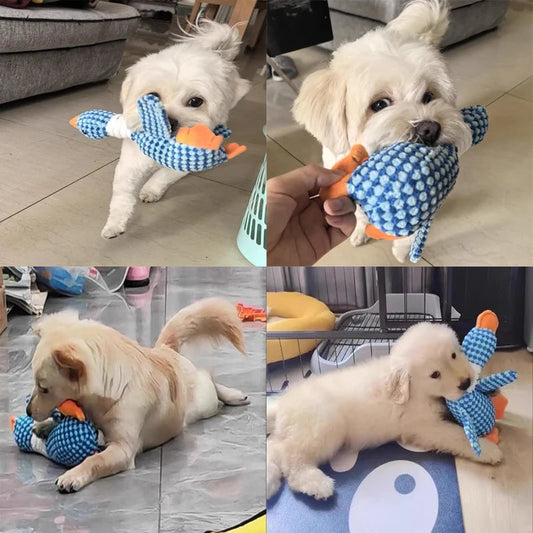 Plush Dog Chew Toy with Squeaker