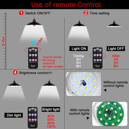 Solar Shed Lights