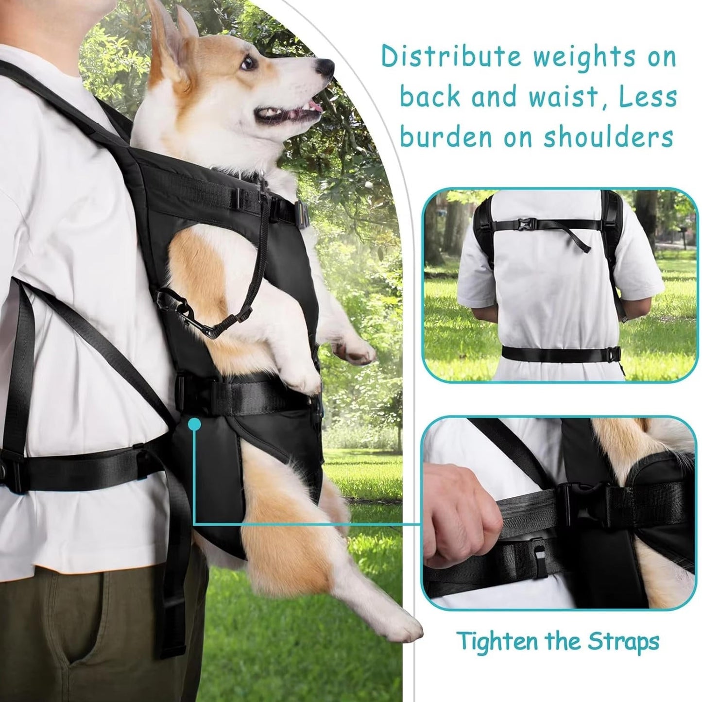 Dog Carrying Backpack