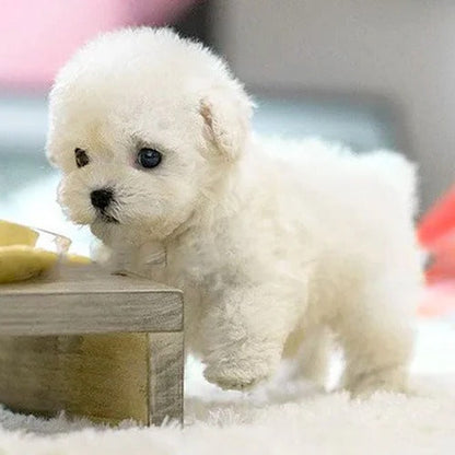 Realistic Interactive Plush Puppy Toy