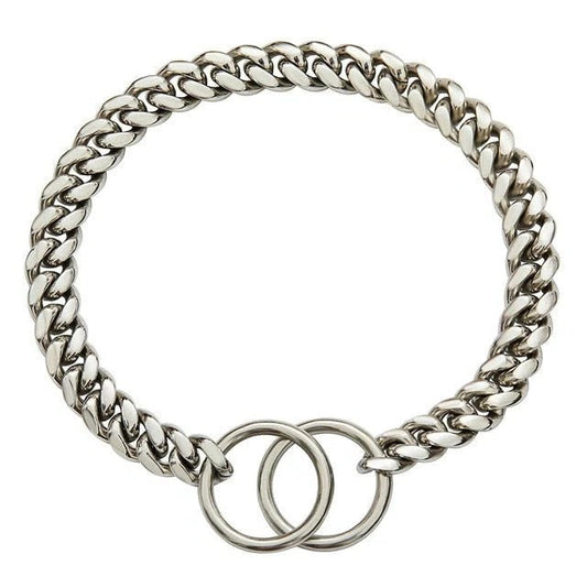 Heavy-Duty Dog Collar