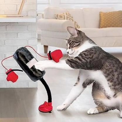 Cat Toys