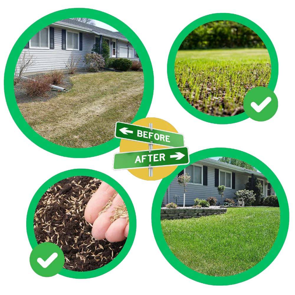Quick Fix Green Grass Seed Mat
